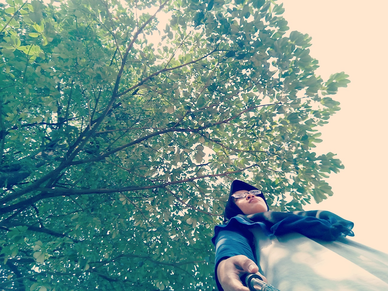 Filosofi Batu Kerikil